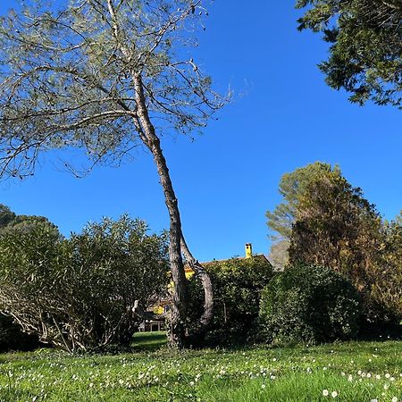 Villa De Miha Valbonne Kültér fotó