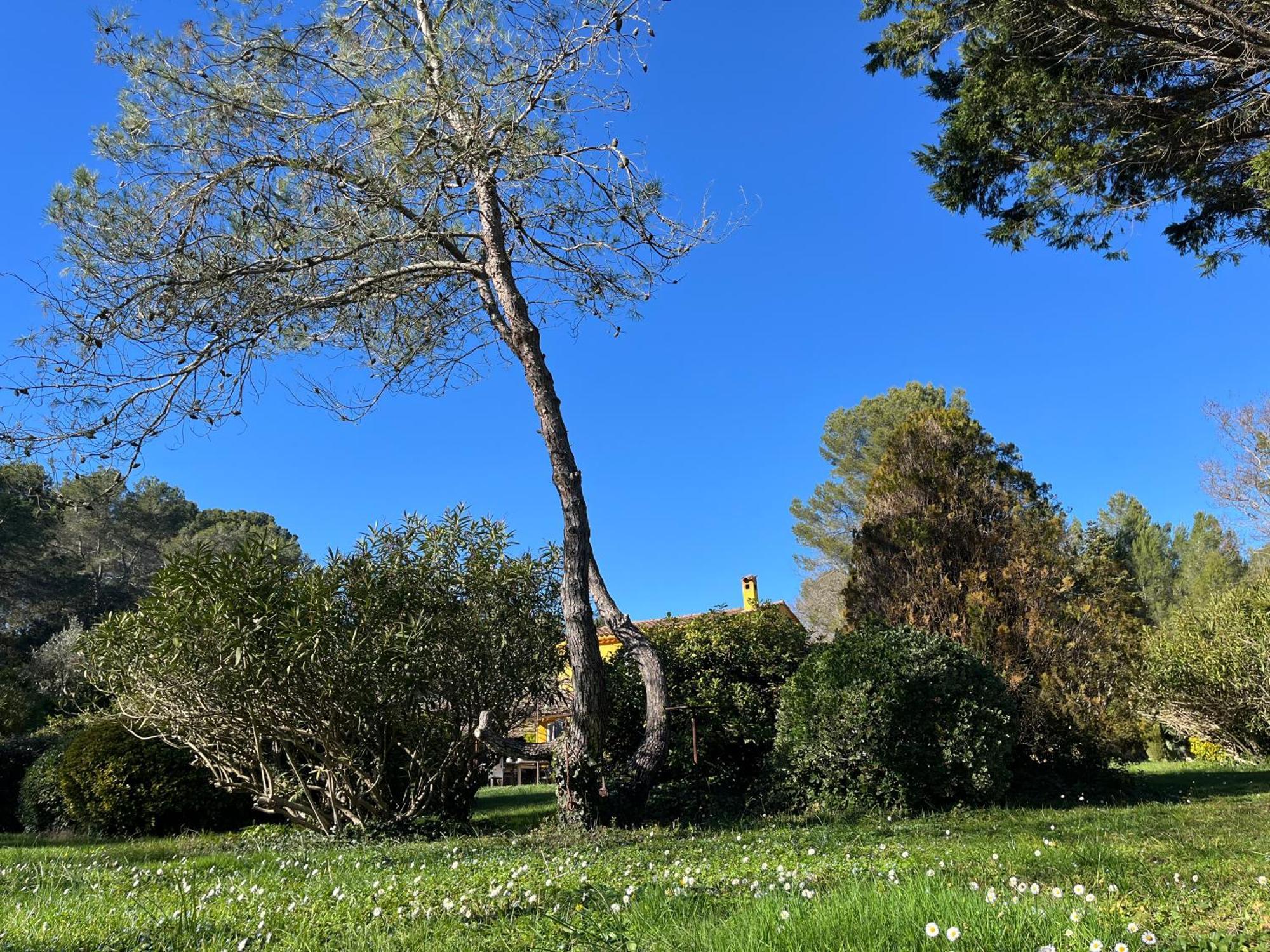 Villa De Miha Valbonne Kültér fotó
